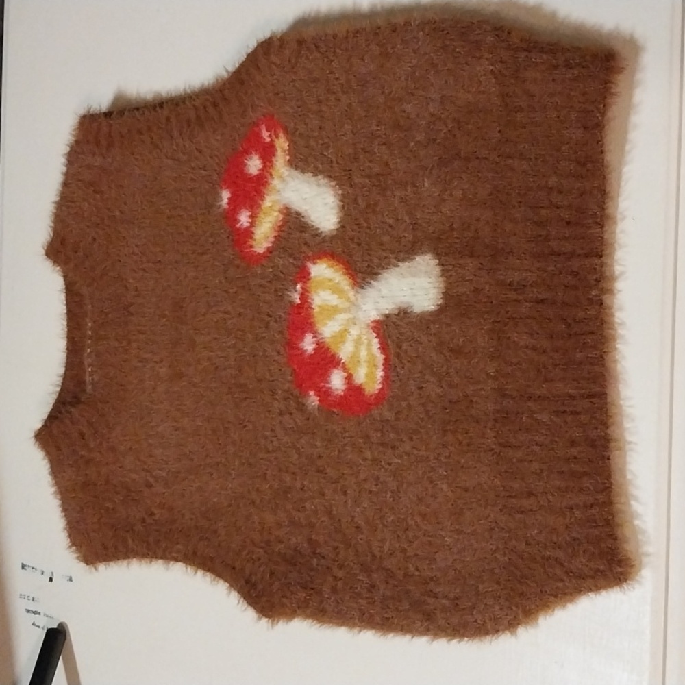 Forever 21 brown mushroom sweater vest